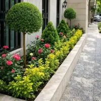 خدمات درختکاری و باغبانی