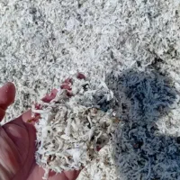 تفاله چغندر