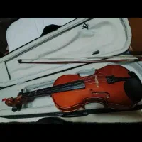 ویالون|ویولن|ارومیه, |دیوار