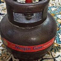 پیک نیک ۲.۵ کیلو نو نو