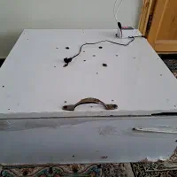 دستگاه جوجه کشی