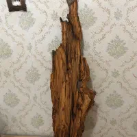 چوب خوش نقش