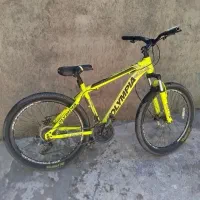 چون پول لازمم گذاشتم  دوچرخه سالم