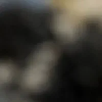 واگذاری سوخاری کیلویی با امکانات کامل و مشتری