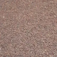 کشمش آفتابی