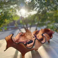 ظروف چوبی