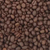 قهوه رست اندونزی EK1