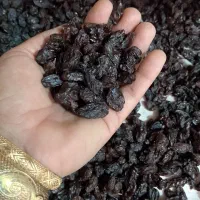 کشمش درجه یک