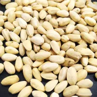 خرید پسته پوک گو رو ابی