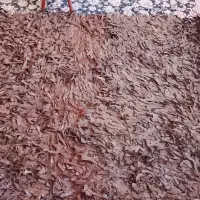 فرش|فرش|ایلام, |دیوار