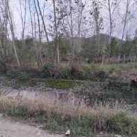 زمین مناسب گل و گیاه|فروش زمین و ملک کلنگی|واجارگاه, |دیوار