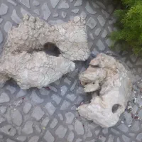 سنگ نما سخره آ‌کواریوم