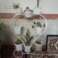 استند گل به همراه گل ها