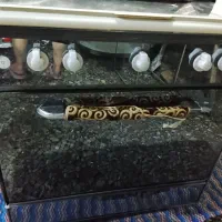 گاز طرح فر پنج شعله