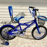 دو عدد دوچرخه ۱۶