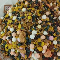 آحیل سلامت واسه فروش