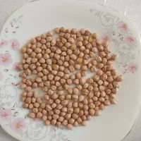 نخود