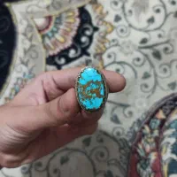 عکس رو ببین