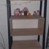 کتابخانه رامونا اپادانا