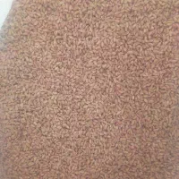 گندم|خدمات باغبانی و درختکاری|بندر گناوه, |دیوار