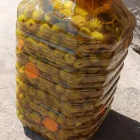 پخش عمده زیتون