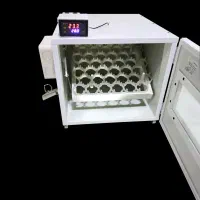 تولید کننده دستگاهای جوجه کشی تکنوماشین