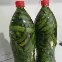 خیار شور