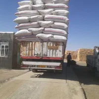 فروش کاه دیم کردستان