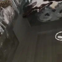 مبلا سلطنتی و میز نهارخوری ۱۰ نفره|مبلمان خانگی و میز عسلی|شیروان (خراسان), |دیوار