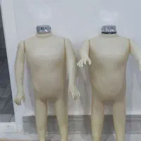 دو عدد مانکن