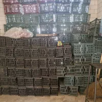 ۲۰۰عدد سبد سالم بفروش میرسد|ظروف نگهدارنده، پلاستیکی، یکبارمصرف|بوکان, |دیوار