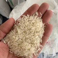 برنج شمال برای اصفهانیها