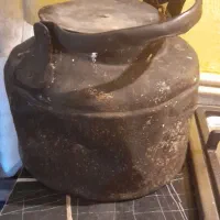 کتری آتیشی جنگلی
