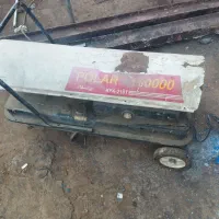 هیتر فرغونی، سالنی