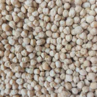 نخود فلافلی