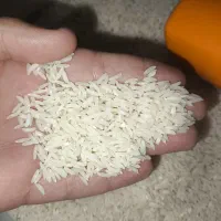 برنج|خوردنی و آشامیدنی|قم, شهرک فاطمیه|دیوار