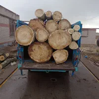 خرید انواع چوب|خدمات باغبانی و درختکاری|سراب, |دیوار