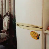 یخچال دو در