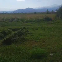 فروش زمین|فروش زمین و ملک کلنگی|طاهرگوراب, |دیوار