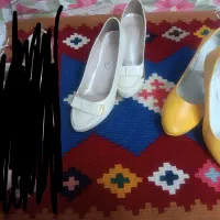 کفش مجلسی|کیف، کفش، کمربند|شیراز, ریشمک|دیوار