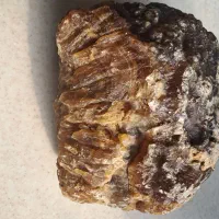 سنگ|کلکسیون اشیاء عتیقه|الوند, |دیوار