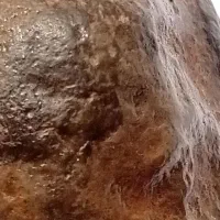 شهاب سنگ الماسی بی نطیر