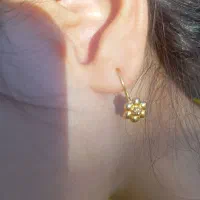 گوشواره گمشده