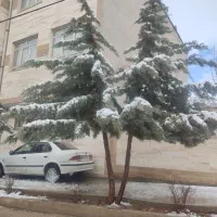 گونی آردی خالی