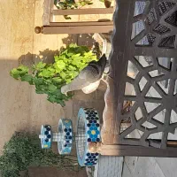فروش یک واحد مسکن ملی جیلارد یک