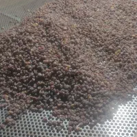 کشمش سبز و افتابی|خوردنی و آشامیدنی|قره چای, |دیوار