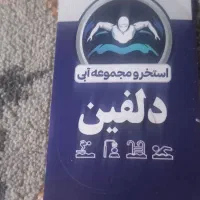 بلیط دلفین دانه ۶۰