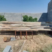 فروش چوب