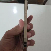 iPhone 12 pro max|موبایل|کرمان, |دیوار