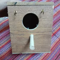 لانه مرغ عشق و فنچ
